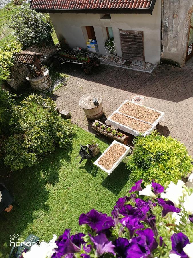 Agriturismo Antica Pieve Limana Luaran gambar